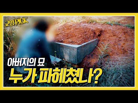 [교양P!CK] 43년간 지킨 아버지의 묘, 누가 무엇 때문에 파헤쳤나?