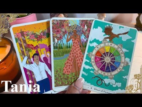 Consejos de Tarot para el Amor: Descubre tu Destino Romántico