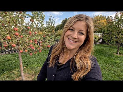 Harvesting Apples and Fall Flower Arrangements: A Complete Guide
