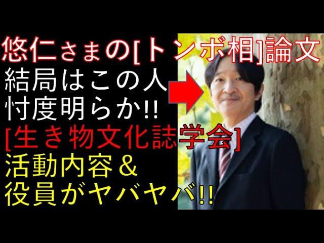 トンボ相論文の衝撃！生き物文化研究会の活動内容＆役員ヤバヤバ！忖度明らかでしょ！