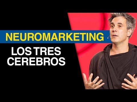 Cómo Utilizar el Neuromarketing para Impulsar tu Estrategia Empresarial