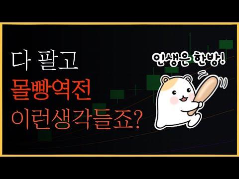 손절과 몰빵 전략으로 성공을 이룰 수 있을까? - 전략적인 투자 방법