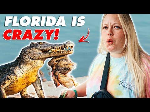 Experience the Thrills of Gatorland in Orlando - A Florida Adventure Like No Other!