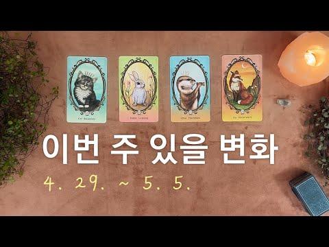 [타로/주간운세] 5월 첫째 주 종합운(4. 29. ~ 5. 5.) SEO 키워드 최적화된 기사