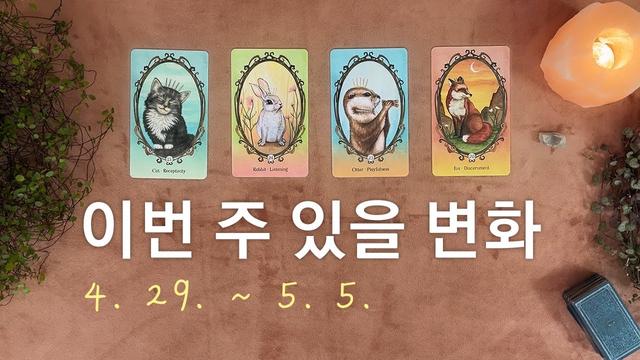 [타로/주간운세] 5월 첫째 주 종합운(4. 29. ~ 5. 5.) SEO 키워드 최적화된 기사