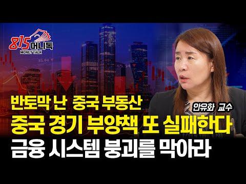 중국의 금융 시스템 붕괴 위기와 경기부양책 실패 이유