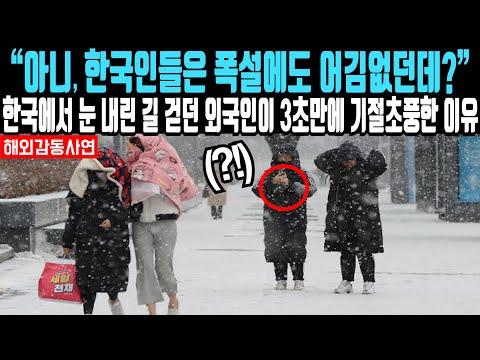 "한국 여행 중 미국 여성이 경험한 문화적인 차이와 놀라운 순간들"