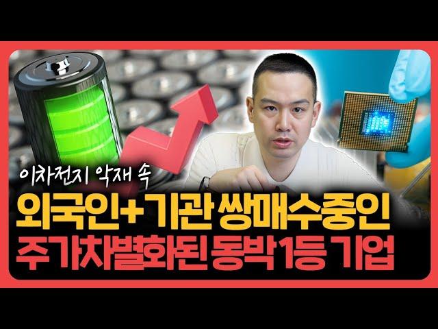 이차전지 동박+친환경플라스틱+반도체기판: 세계 탑티어 기업 기업분석훈련소