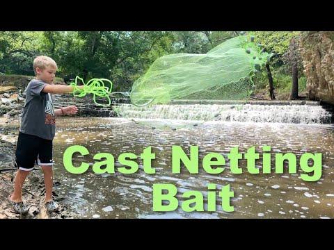 Mastering the Art of Cast Netting for Bait: A Guide for Pet Bass