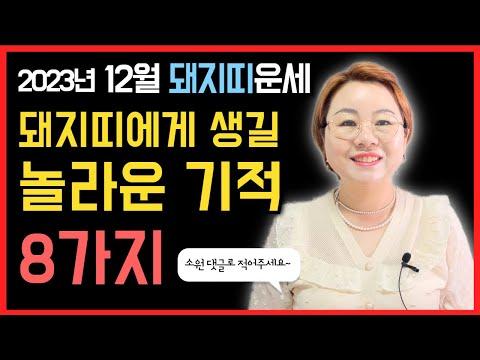 12월 돼지띠운세: 행운비법과 애정운, 직장운, 금전운, 사업운