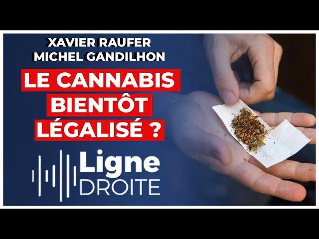 Légalisation du cannabis en France : Analyse approfondie et perspectives