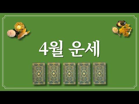 4월 운세: 금전운이 좋아지고 긍정적인 전망