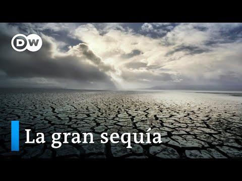 La Importancia del Agua en Tiempos de Cambio Climático