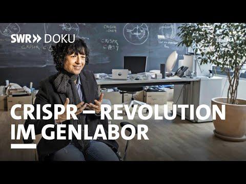 Die Crispr-Revolution: Chancen und Risiken der Gentechnik