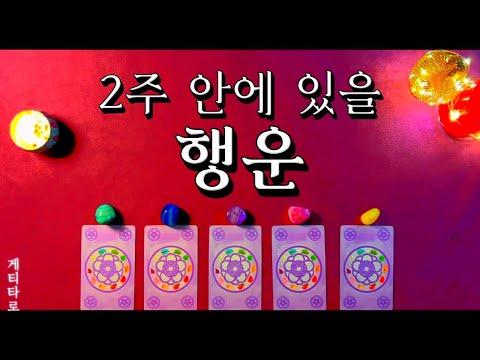 [타로] 2주 안에 있을 행운 - 놀라운 예측 결과