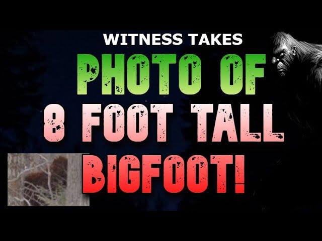 Terrifying Encounters with Bigfoot: Witness Testimonies and Evidence