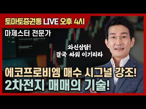 에코프로비엠 주식 투자 전략 및 전문가 의견