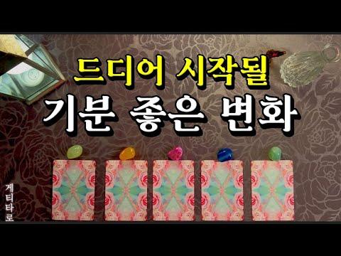 타로 카드로 알아보는 긍정적인 변화를 이루는 비밀