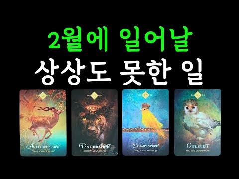 🔮✨️2월 타로 예상: 상상도 못한 일이 일어날 것