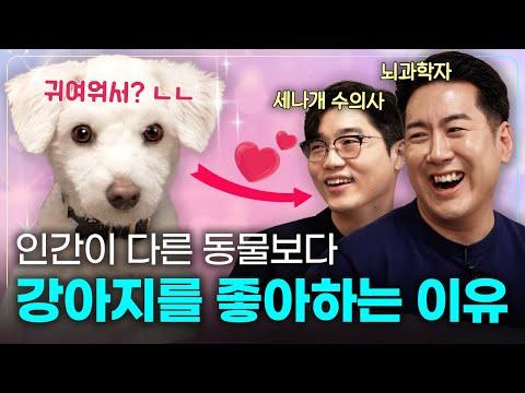 강아지와 인간 사이의 특별한 관계에 대한 통찰 | 설채현 수의사 X 장동선 뇌과학자