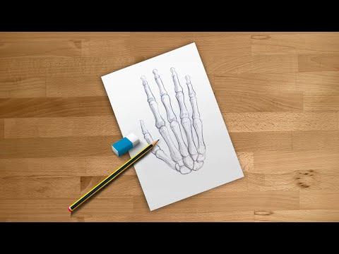 How to Draw a Skeleton Hand