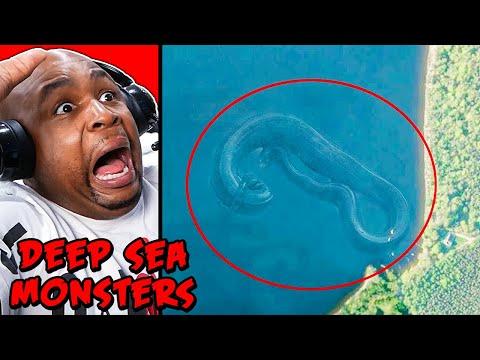 Monstrous Sea Creatures: Fact or Fiction?