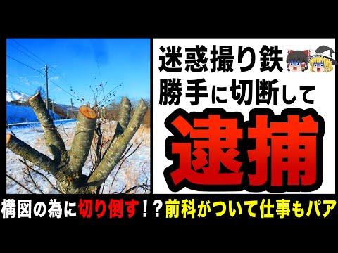 撮り鉄問題：鉄道会社が迷惑行為にガチギレ！対応と注意点