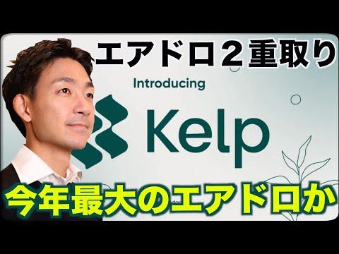 Kelpプロジェクト：仮想通貨エアドロップの注目ポイント