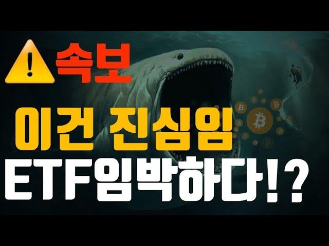 비트코인 및 이더리움 시장 동향 및 전망