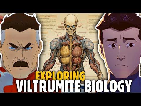 Unveiling the Power of Viltrumites: A Complete Guide to the Invincible Alien Race