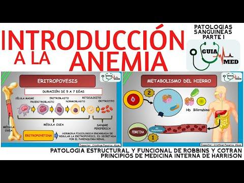 Todo lo que necesitas saber sobre la anemia