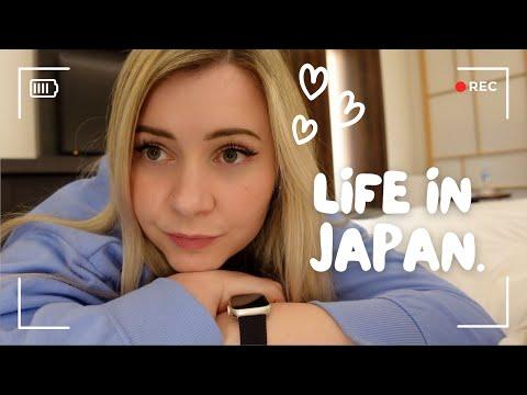 Discovering the Best of Japan: Lucky Cat Temples, Delicious Dishes, and Unique Souvenirs 🐱🍡🍦