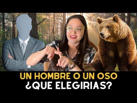 El Gran Debate: Oso vs Hombre en el Bosque