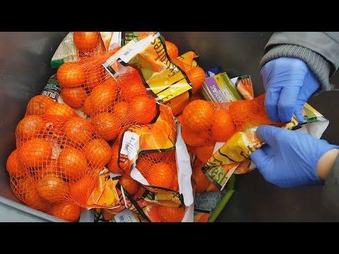 Uncovering the Shocking Truth of Food Waste in Supermarkets