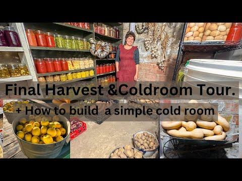 Preserving Food for Long-Term Storage: Tips and Techniques