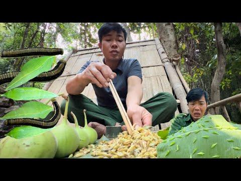 Exploring the Delicacies of Muồng Caterpillar in Tây Nguyên Region