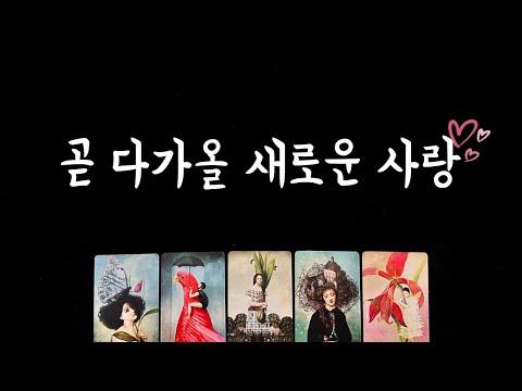 새로운 사랑을 위한 타로 카드 예측