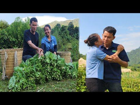 Growing Vegetables with Friends: A Fun and Profitable Venture