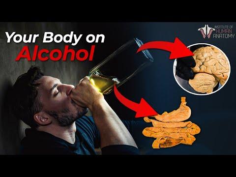 The Impact of Alcohol on Your Body: Understanding the Risks