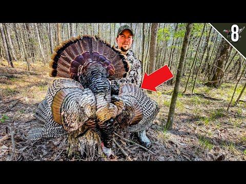 Exciting Turkey Hunting Adventure: Bagging Gobblers on Public Land