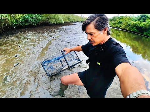 Unveiling the Mystery of Mud Crab Thieves: A Catch and Cook Adventure
