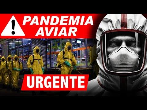 ¡Alerta de Pandemia! Gripe Aviar en la India