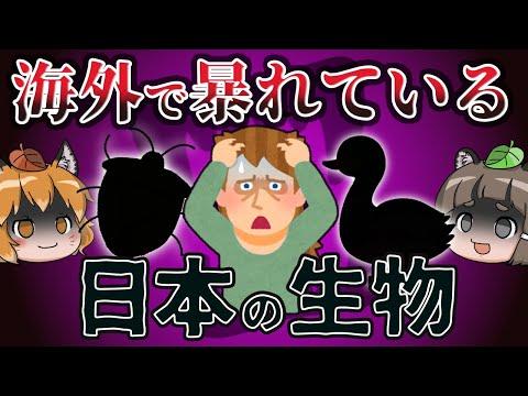 日本の生き物が海外で暴れる！対策と注意点を知ろう