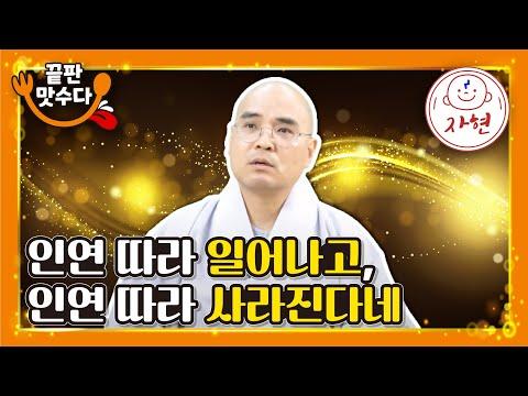 불교의 인연법에 대한 통찰: 석가모니 부처님의 이야기와 현대 사회의 적용