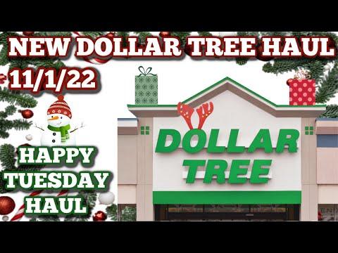 Discovering Dollar Tree's New Christmas Items: A Haul Review