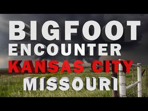 Uncovering the Mysterious Sasquatch Encounters in Kansas City, Missouri