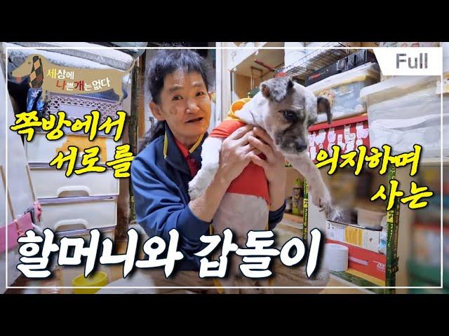 갑돌이와 할머니의 특별한 이야기 - 새로운 시선으로 바라보는 쪽방촌의 일상