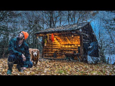 Transforming a Survival Shelter into a Comfortable Home: A YouTuber's Adventure