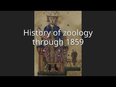 The Evolution of Zoology: From Ancient Observations to Modern Science