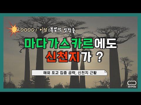 [🌍 마다가스카르에도 신천지가?] 해외 포교 집중 공략 중인 신천지 근황